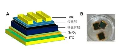 钙钛矿太阳能电池的结构（A）和实物（B）。